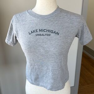 Lake Michigan Unsalted Cropped Gray T-Shirt
